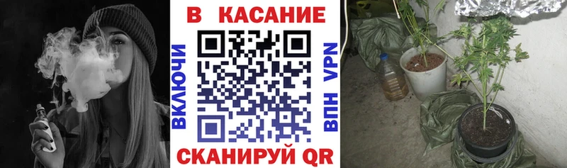 Галлюциногенные грибы Боровичи