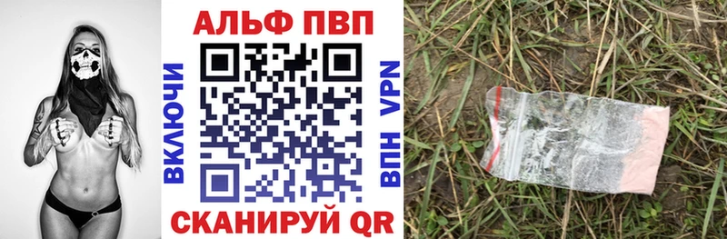 закладка  Боровичи  Альфа ПВП СК 