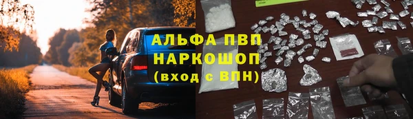 СК Алзамай