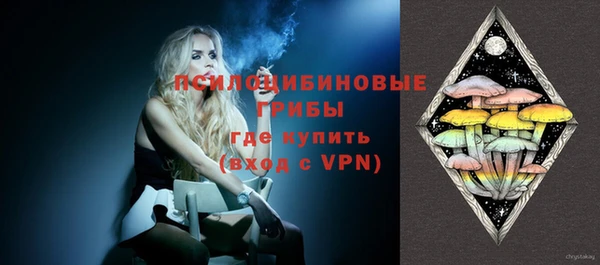 ГАЛЛЮЦИНОГЕННЫЕ ГРИБЫ Алексеевка