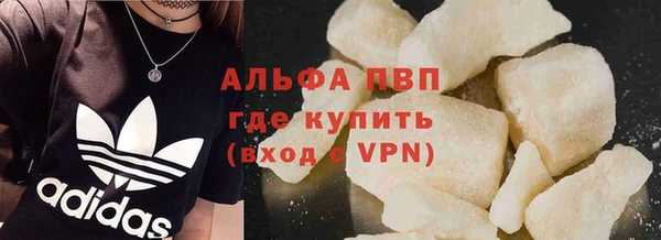 гидра Алексин