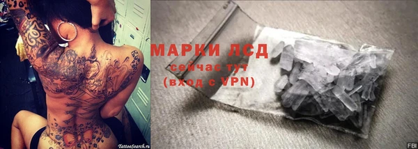 ГАЛЛЮЦИНОГЕННЫЕ ГРИБЫ Алексеевка