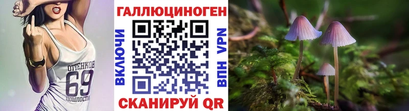 Псилоцибиновые грибы Magic Shrooms  Боровичи 