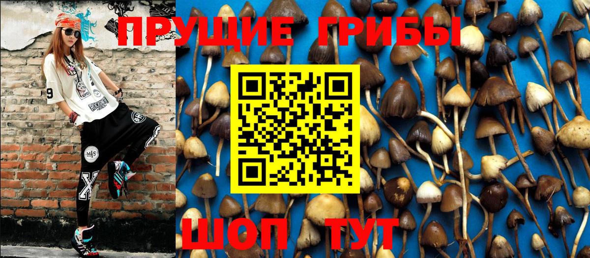 Псилоцибиновые грибы прущие грибы  Вход с VPN  Боровичи 