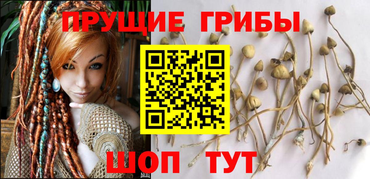 Псилоцибиновые грибы GOLDEN TEACHER Боровичи